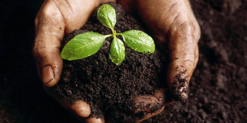 Key Steps for Planting a Church: From Vision to Launch